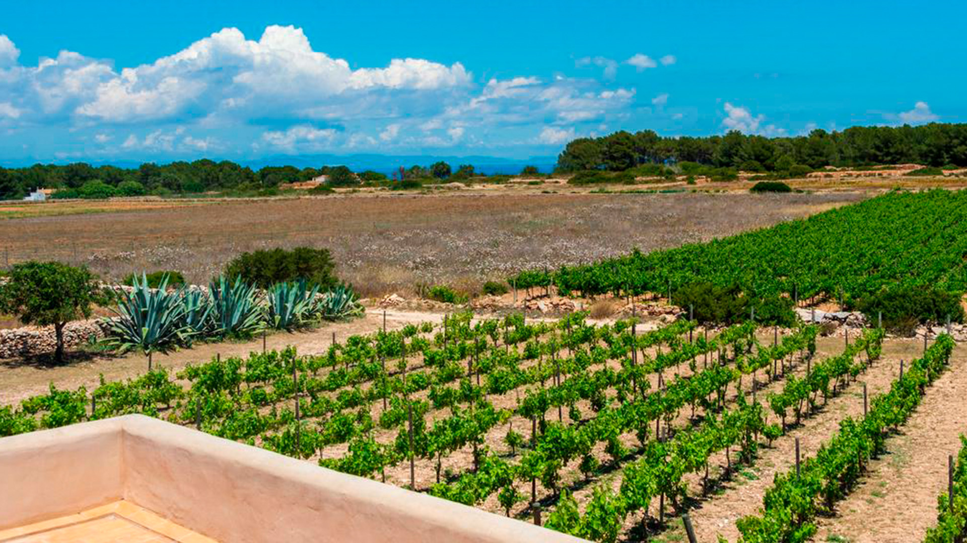 Formentera - The Suites